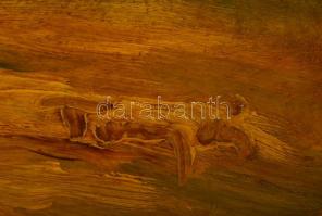 Tornyai János (1869-1936): Gémeskút. Olaj, karton, fa keretben, 23×33 cm