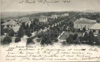 Sao Paolo Avenida Paulista