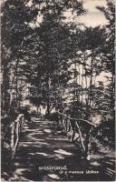 1908 Stószfürdő, Stoósz-fürdő, Kúpele Stós; út a messzelátóhoz / road to the look out
