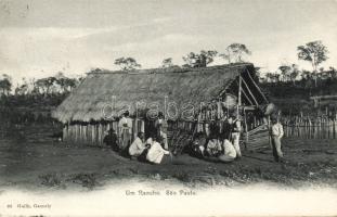 Sao Paolo Farm