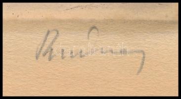 Rudnay Gyula (1878-1957): Bolond Istók. Színezett rézkarc, papír, jelzett, 23×15 cm