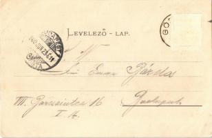 1900 Máriabesnyő (Gödöllő), Kegytemplom, búcsújáróhely. Pick Testvérek Műintézete (enyhén ázott sark...