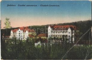 1918 Budakeszi, Erzsébet szanatórium (EB)