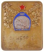 Csehszlovákia 1956. Nemzetközi találkozó zománcozott, gravírozott fém plakett (69x82mm) T:2 Czechoslovakia 1956. International meeting enamelled, engraved metal plaque (69x82mm) C:XF
