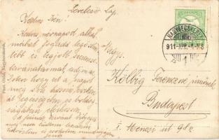 1911 Nagybecskerek, Zrenjanin, Veliki Beckerek; Vegyeskereskedés a Fehér Macskához. Phot. Oldal / De...