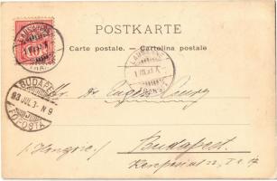 1893 (Vorläufer!) Veytaux, Chillon castle