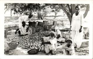 Karachi Fruit sellers