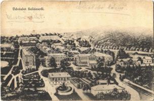 1920 Szliács, Sliac; látkép, szálloda, étterem, nyaralók. Machold F. kiadása / general view with hotels, restaurants, villas (szakadás / tear)