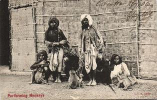 Indian monkey-dancers