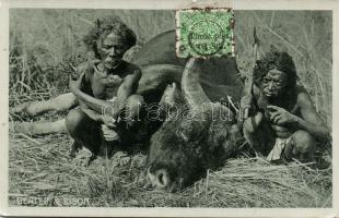 Indian Bison hunters