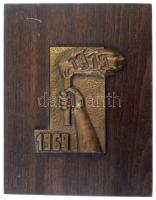 DN "1969-1979" Br plakett fa talpon (75mm) T:1-