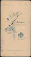 1897 Ifj. Walkó Lajos (1880-1954) későbbi kereskedelemügyi, pénzügy-, külügyminiszter, keményhátú fo...