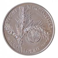 1981. 100Ft Ni "FAO I. - Világélelmezési nap" jelzett próbaveret T:BU felületi karc
Hunga...