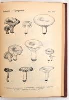 Bánhegyi József-Kalmár Zoltán-Ubrizsy Gábor: Magyarország kalaposgombáinak meghatározó kézikönyve. B...