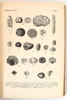 Bánhegyi József-Kalmár Zoltán-Ubrizsy Gábor: Magyarország kalaposgombáinak meghatározó kézikönyve. B...