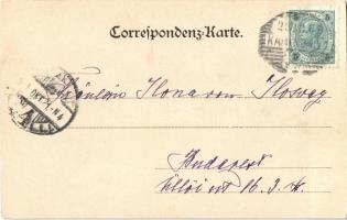 1901 Karlovy Vary, Karlsbad; Hans-Heiling-Felsen / Svatosské Skály. Floral (EK)