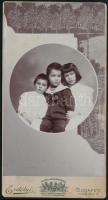 cca 1910-1920 Gyermekek, keményhátú fotó Erdélyi műterméből, 11x21 cm