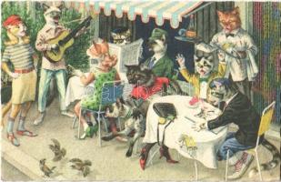 Cats in the cafe shop. Colorprint B Special 2282/3. (fl)