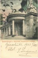 1903 Kyselka, Giesshübl Sauerbrunn b. Karlsbad, Gießhübl-Sauerbrunn; Quellentempel. Handkolorirte Künstlerkarte 1105. (EB)