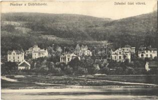 1913 Dobrichovice, Strední cást vilová / villas