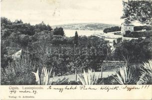 1909 Mali Losinj, Lussinpiccolo; Cigale