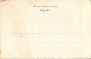 Brcko, Konak (Bezirksamt) / district office (small tear)