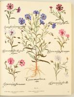 Gerard G. Aymonin: The Besler Florilegium: Plants of the Four Seasons. Angol nyelven. Első kiadás. N...