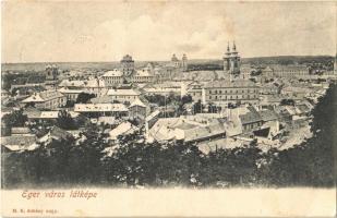 Eger, város látképe (fa)