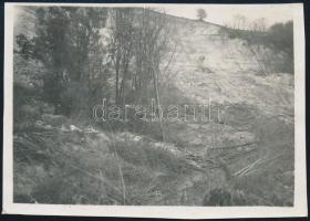 cca 1930 Balatonkenese, hegyomlás, feliratozott fotó, 6×8 cm