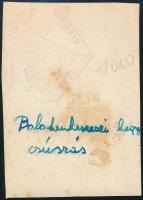 cca 1930 Balatonkenese, hegyomlás, feliratozott fotó, 6×8 cm