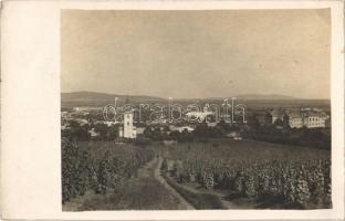 1933 Jászberény, látkép, templom, szőlő. Szabó József photo