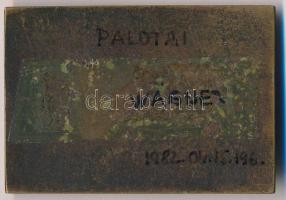 Palotai Gyula (1911-1977) 1982. "Wagner R." egyoldalas Br plakett, a hátlapra írt megjegyz...