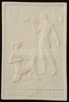 25 éves a Herendi szakmunkásképzés biszkvit porcelán emlékplakett, jelzett, 9x13 cm