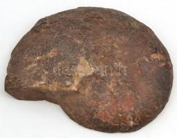 Fosszília, 19×15 cm