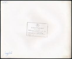 cca 1930 Northrop A-17A repülőgép gyári fotója, a hátoldalán pecséttel, 20x25 cm