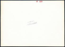 1978 Ikarus 281 jobbkormányos autóbusz gyári fotója "Kenya-Uganda-Zambia-Tanzánia", "...