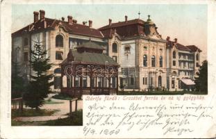 Bártfafürdő Erzsébet forrás és az új gyógyház, litho