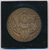 Bogár Lívia (1957-) 1984. 1869 - Soproni Városszépítő Egyesület Br emlékérem fekete tokban (50mm) T:1