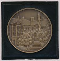 Bogár Lívia (1957-) 1984. "1869 - Soproni Városszépítő Egyesület" Br emlékérem fekete tokb...