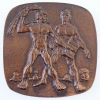 ~1970. "Nagyváthy János 1755-1819" kétoldalas Br plakett (76x78mm) T:2