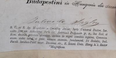 1910 Bp., Dr. Gárdony Pál zsidó származású személy (később a pusztaberényi ménes tulajdonosa) jogi d...