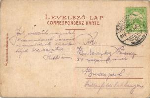 1915 Szászrégen, Reghin; Villanytelep. W. Schebesch kiadása / Elektrizitätswerk / electric power sta...