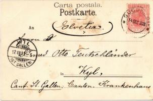 1903 Bucharest, Bukarest, Bucuresti; Bukarester Deutscher Liedertafel, Der grosse Fest- u. Konzertsa...