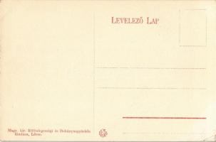 Lőcse, Levoca; Gimnázium tér és állami kertmunkás iskola / grammar and gardener schools (EK)