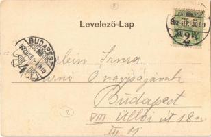 1902 Temesvár, Timisoara; K.u.K. Infanterie Cadettenschule / Cs. és K. gyalogsági hadapródiskola. Uh...