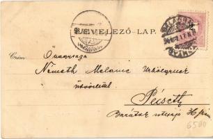 1898 (Vorläufer!) Nógrádi emlék, Balassagyarmat, Megyeház, Fő utca, Fogház, Kórház, Kékkői vár / Mod...