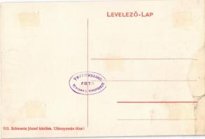 Révfülöp, Kikötő gőzhajókkal, "Hídra lépni tilos" tábla. Schwarcz József kiadása (ragasztó...