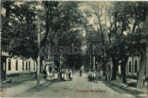 1909 Szolnok, Fasor