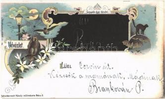 1898 Üdvözlet Éjjel. Legújabb éjjeli fölvétel. Szecessziós művészlap bagollyal és denevérrel / Night view, Art Nouveau greeting art postcard woth owl and bat. Schwidernoch Károly floral, litho (vágott / cut)