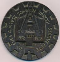 1972. 20 éves a MTESZ Sopron Városi Szervezete 1952-1972 bronzozott fém plakett (90,5mm). Szign.: RK T:2 kopott, ph.